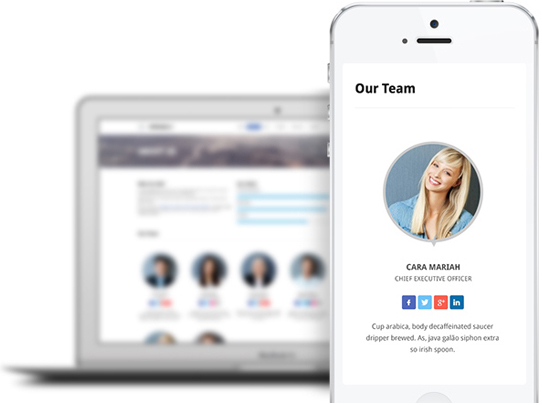 移動(dòng)端網(wǎng)站建設(shè)定義