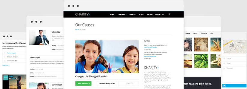 內(nèi)容管理系統(tǒng)（CMS）